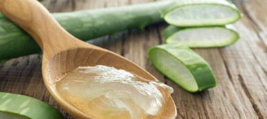 Wat maakt Aloë Vera zo uniek voor jouw huid?